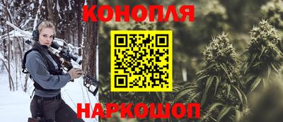 мдпв Нальчик