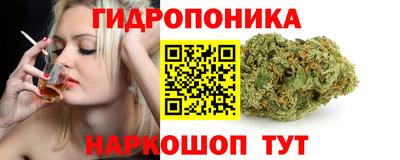 мдпв Нальчик